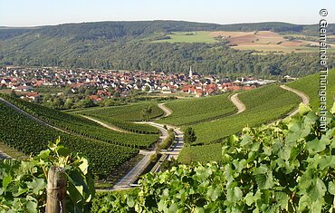 Ortsansicht mit Weinbergen (Thüngersheim, Fränkisches Weinland)